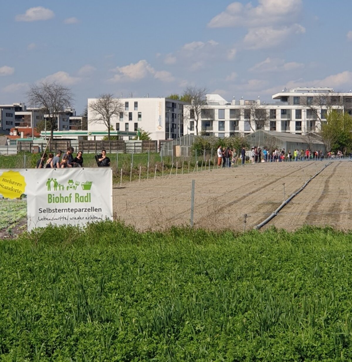 Wechselkröte